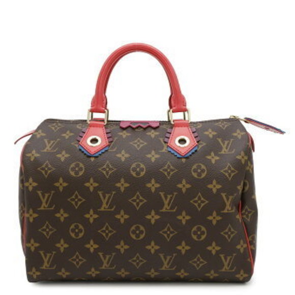 Louis Vuitton Monogram Totem Speedy Handbag Bag - Picture 1 of 8